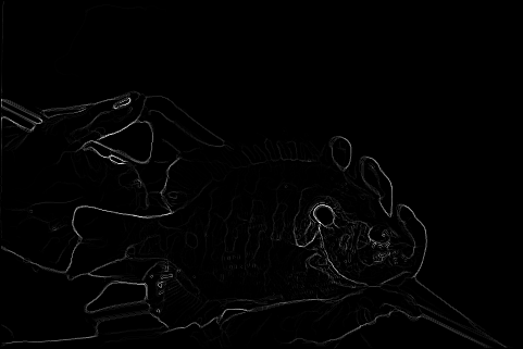 project thumbnail